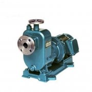 買自吸磁力泵就選專業廠家吧